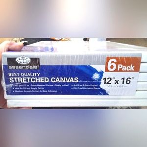 Royal Langnickel Essentials Best Quality Stretched Canvas 6 Pack 12"x16"